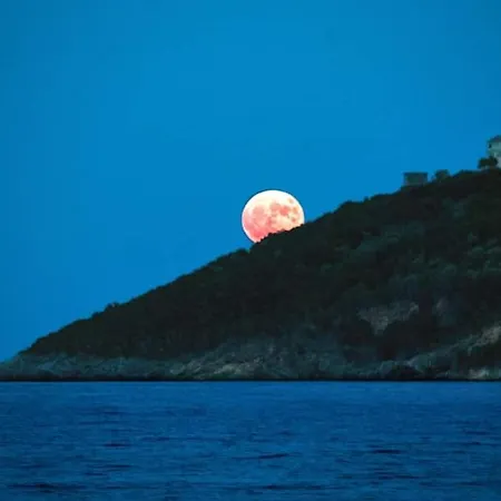 Lovely Traditionnal House With Sea View Τυρός