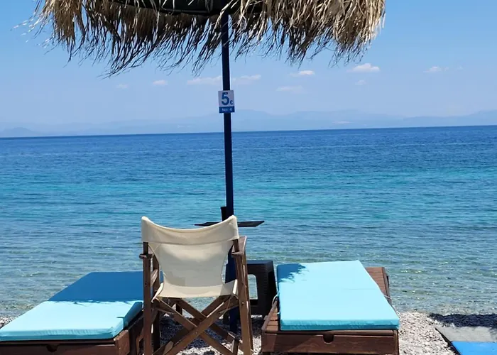 Casa de Férias Lovely Traditionnal House With Sea View Tirós