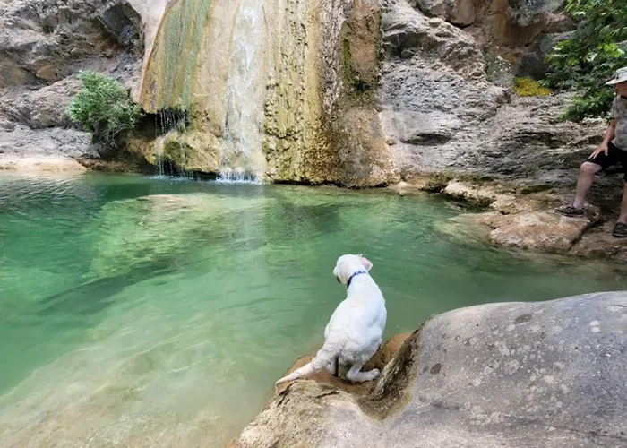 Lovely Traditionnal House With Sea View Tirós